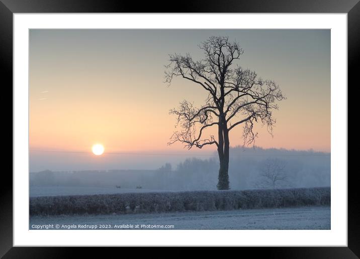 Misty, frosty sunrise Framed Mounted Print by Angela Redrupp