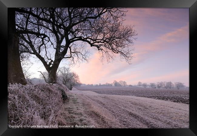 Clouds over a ploughed frosted field at sunrise, Northamptonshire Framed Print by Angela Redrupp