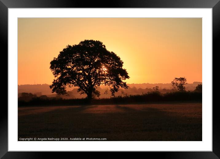 Sunrise through the tree Framed Mounted Print by Angela Redrupp