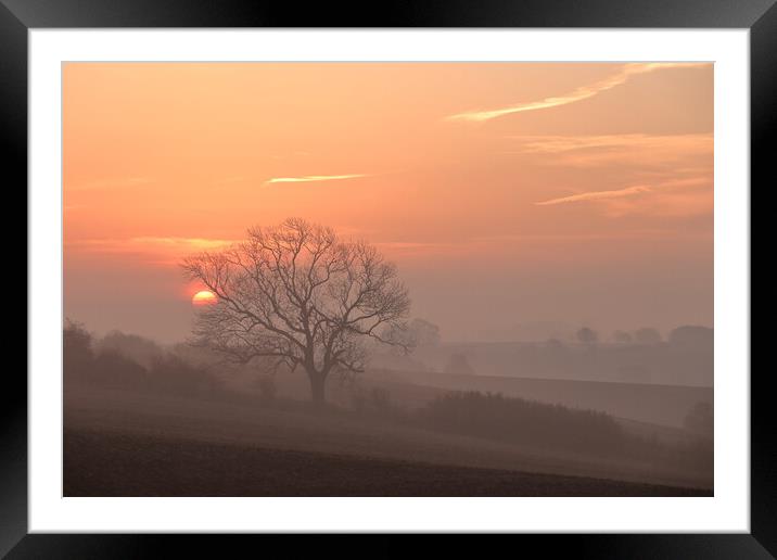 Misty sunrise 1 Framed Mounted Print by Angela Redrupp
