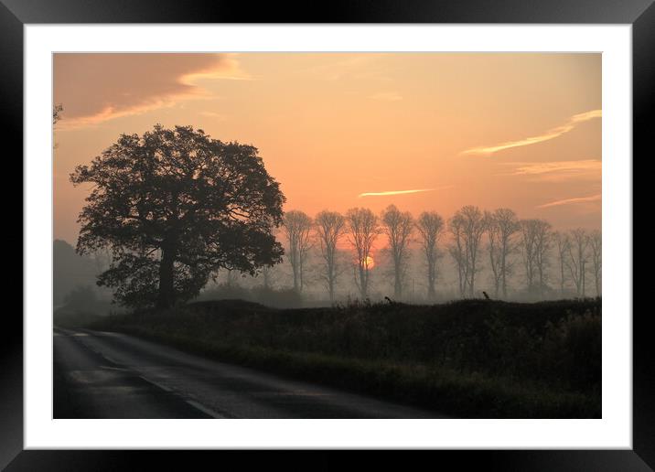 Misty sunrise 3 Framed Mounted Print by Angela Redrupp