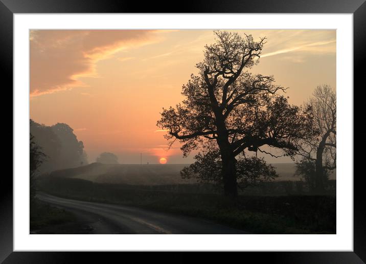 Misty sunrise 2 Framed Mounted Print by Angela Redrupp