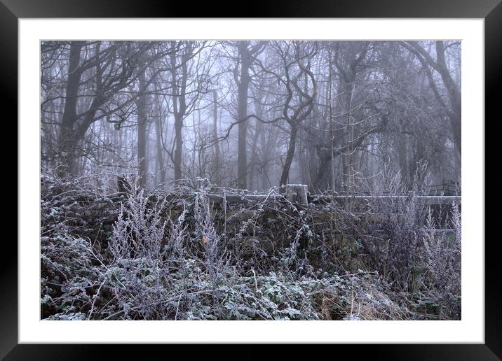 Frosty, foggy morning Framed Mounted Print by Angela Redrupp