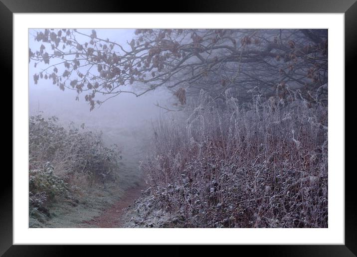 Walk through in the misty, frosty morning Framed Mounted Print by Angela Redrupp