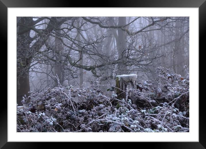 Winter scene 1 Framed Mounted Print by Angela Redrupp
