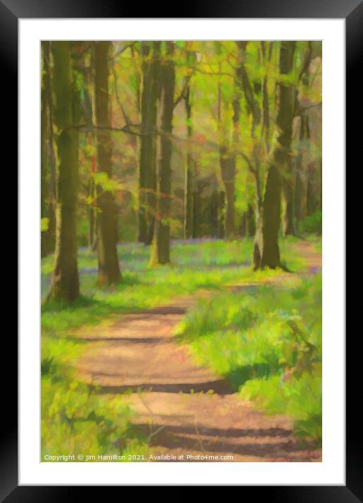 Bluebell forest Framed Mounted Print by jim Hamilton