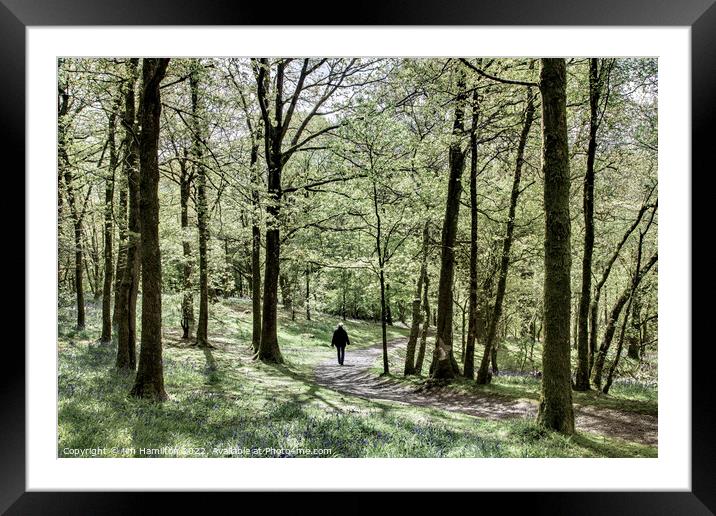 Drum Manor Forest Park, Northern Ireland Framed Mounted Print by jim Hamilton