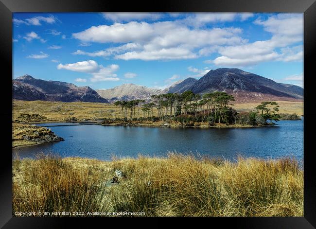 Pine Trees Island: A majestic oasis in Derryclare  Framed Print by jim Hamilton