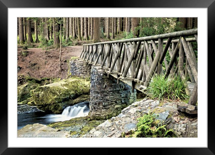 Tollymore Forest Park Framed Mounted Print by jim Hamilton