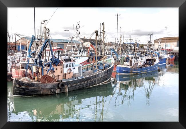 The Vibrant Fishing Culture at Portavogie Harbour Framed Print by jim Hamilton