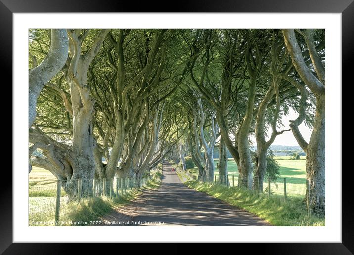 The Enchanting Tree Tunnel of Northern Ireland Framed Mounted Print by jim Hamilton