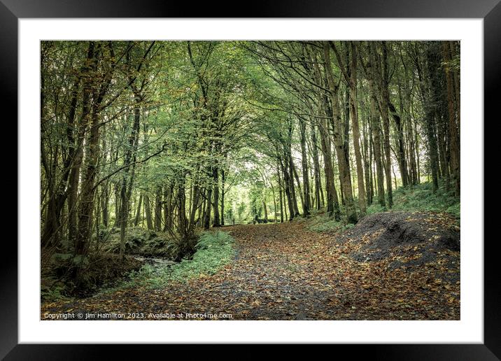 Enchanting Downhill Forest, Northern Ireland Framed Mounted Print by jim Hamilton