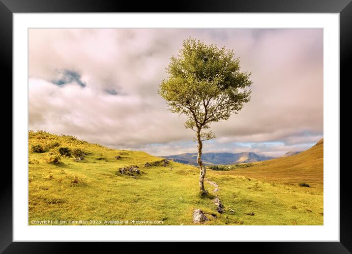 Lone tree on the Isle of Skye, Scotland Framed Mounted Print by jim Hamilton