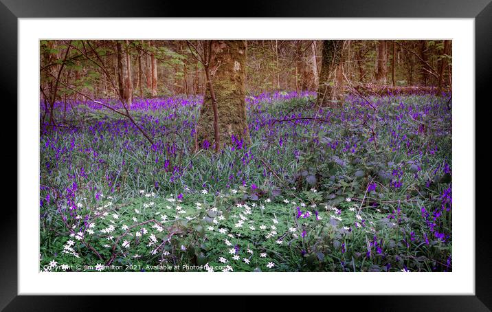 Natures Beauty Framed Mounted Print by jim Hamilton