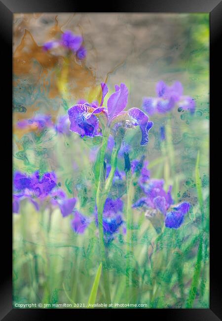 Summer growth Framed Print by jim Hamilton