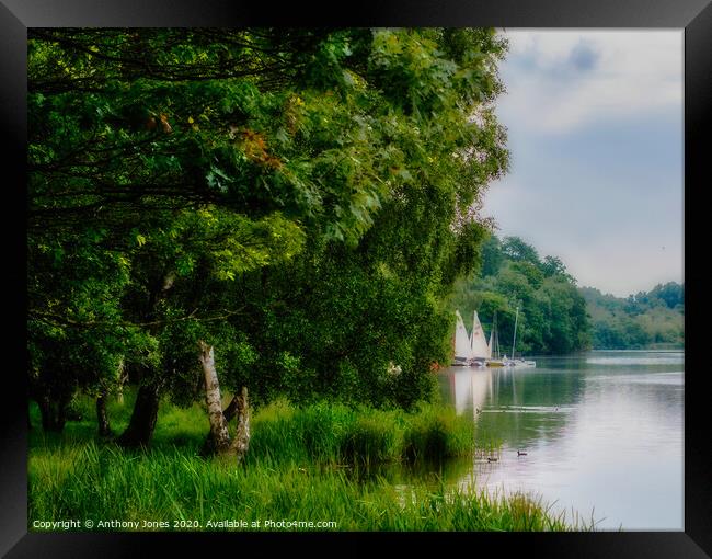 "Moored Up" Framed Print by Anthony Jones