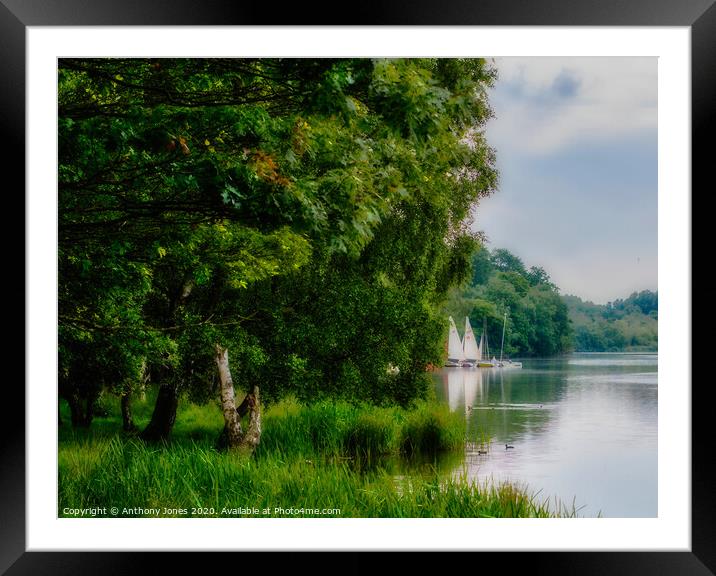 "Moored Up" Framed Mounted Print by Anthony Jones