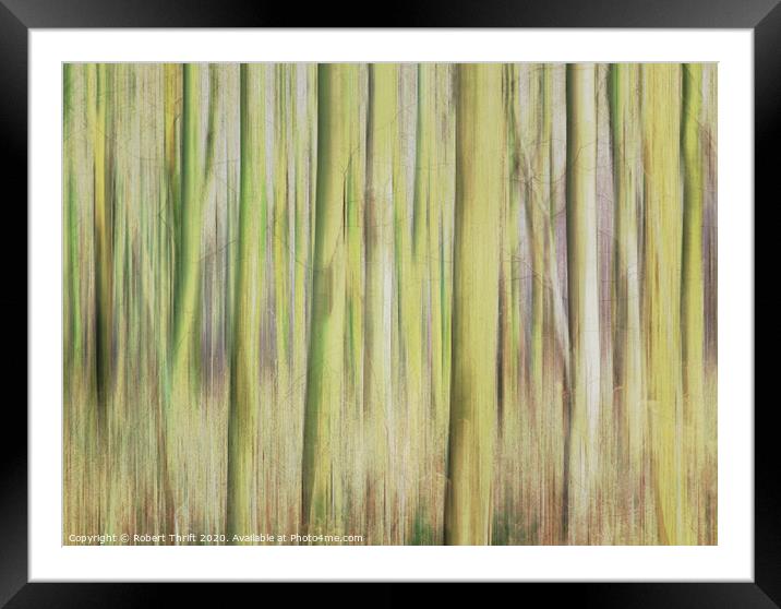 Whitwell Wood abstract Framed Mounted Print by Robert Thrift