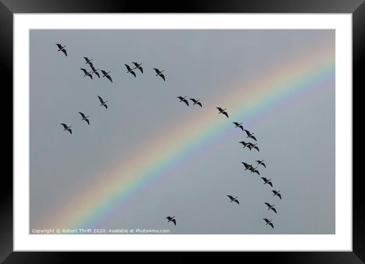 Geese and rainbow, Dee Estuary Framed Mounted Print by Robert Thrift