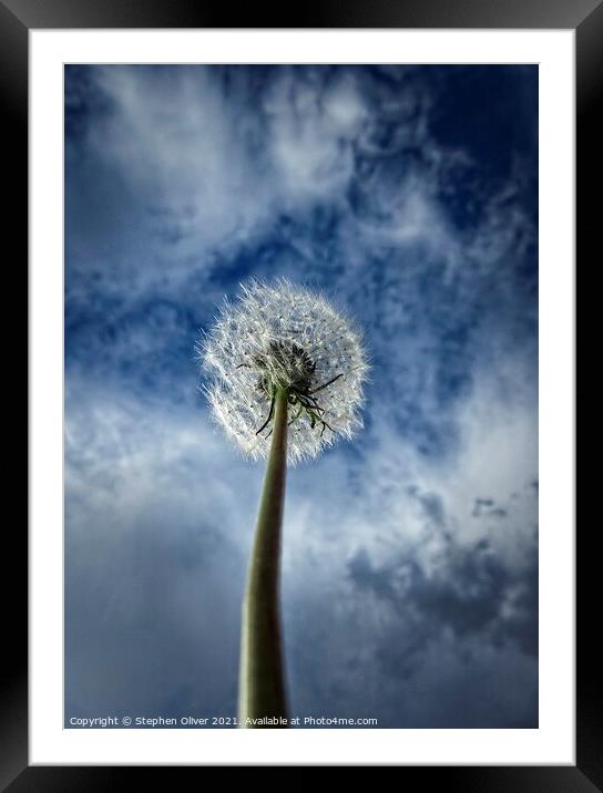 Reach for the sky Framed Mounted Print by Stephen Oliver