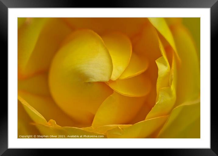 Yellow Spiral  Framed Mounted Print by Stephen Oliver