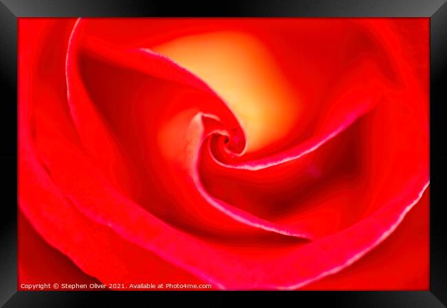 Abstract Red rose Framed Print by Stephen Oliver