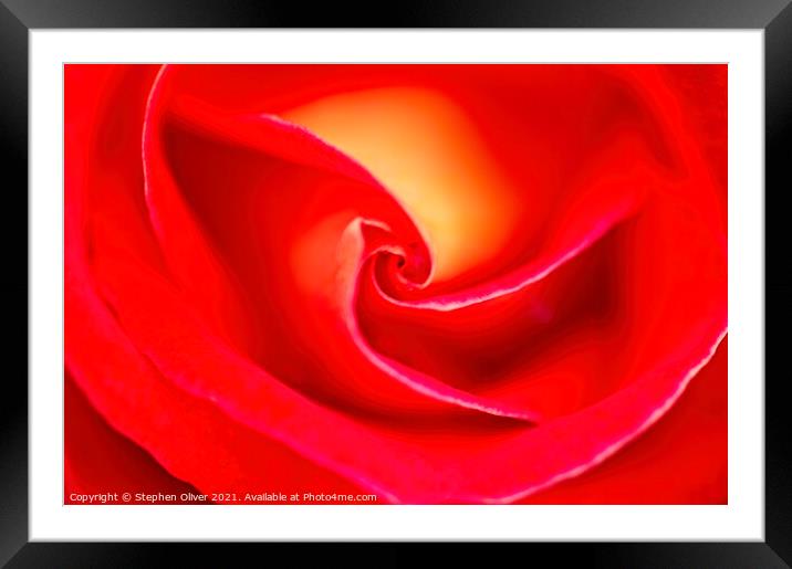 Abstract Red rose Framed Mounted Print by Stephen Oliver