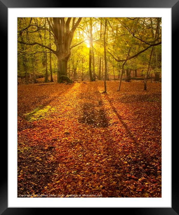 Sun Beam Framed Mounted Print by Stephen Oliver