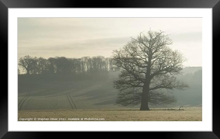 Morning  Tree Framed Mounted Print by Stephen Oliver