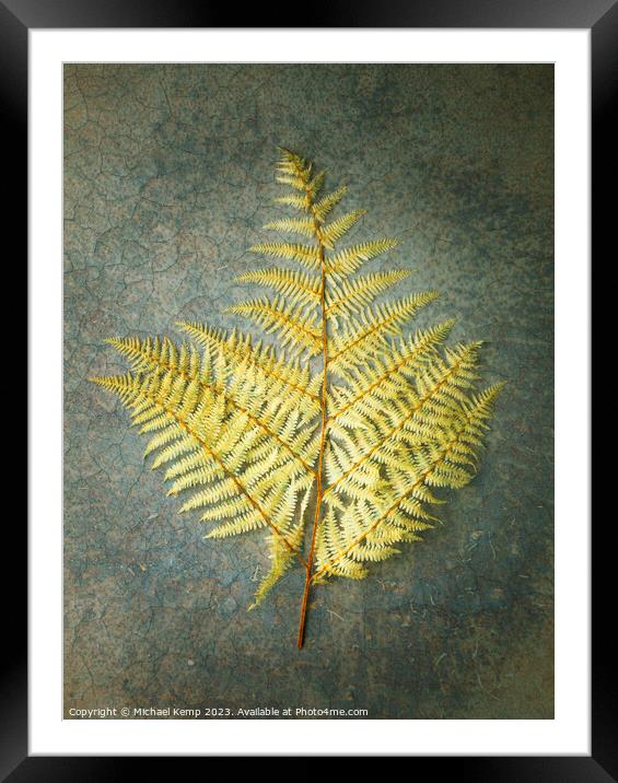 Plant leaves Framed Mounted Print by Michael Kemp