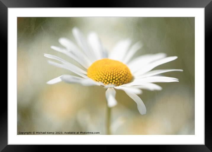 Plant flower Framed Mounted Print by Michael Kemp