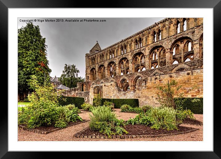 Jedburgh Abbey Garden Framed Mounted Print by Nige Morton