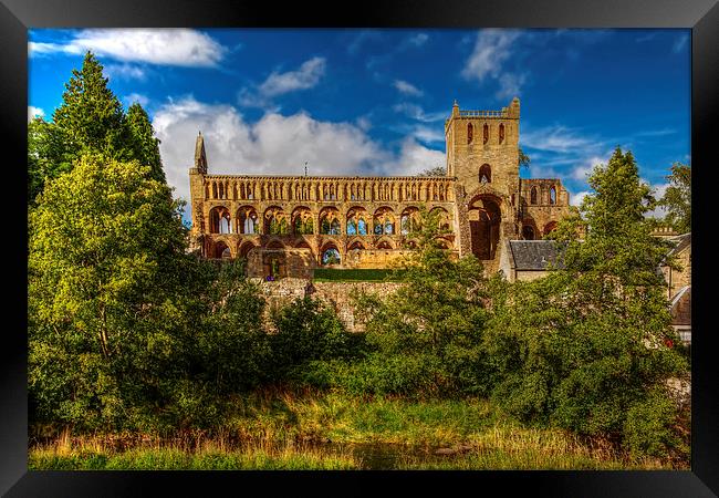 Jedburgh Abbey Framed Print by Nige Morton