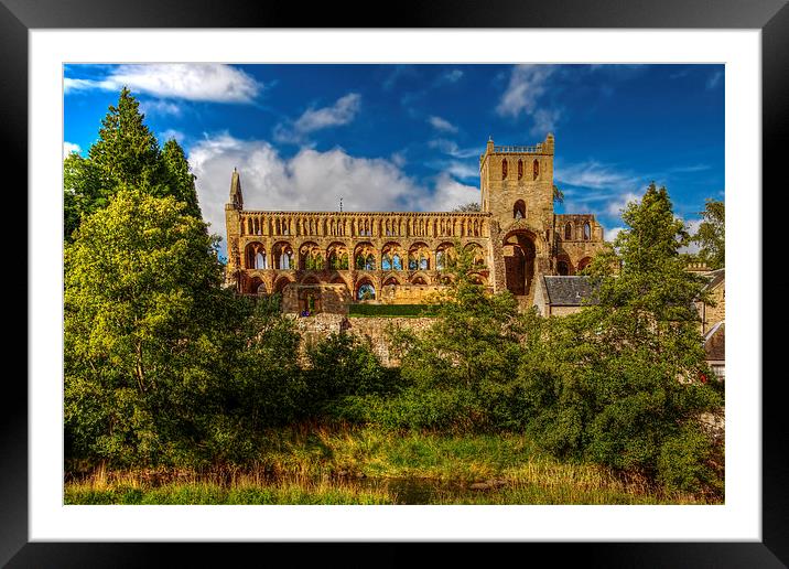 Jedburgh Abbey Framed Mounted Print by Nige Morton