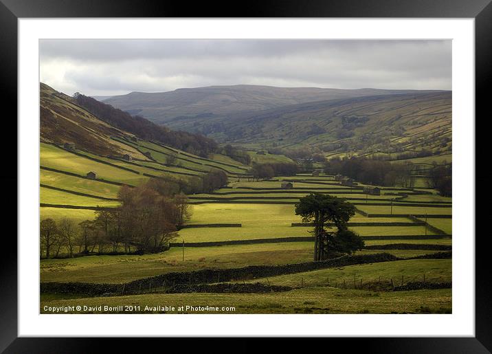 Summer in Swaledale Framed Mounted Print by David Borrill