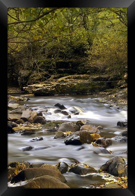 Autumn on the River Swale Framed Print by David Borrill