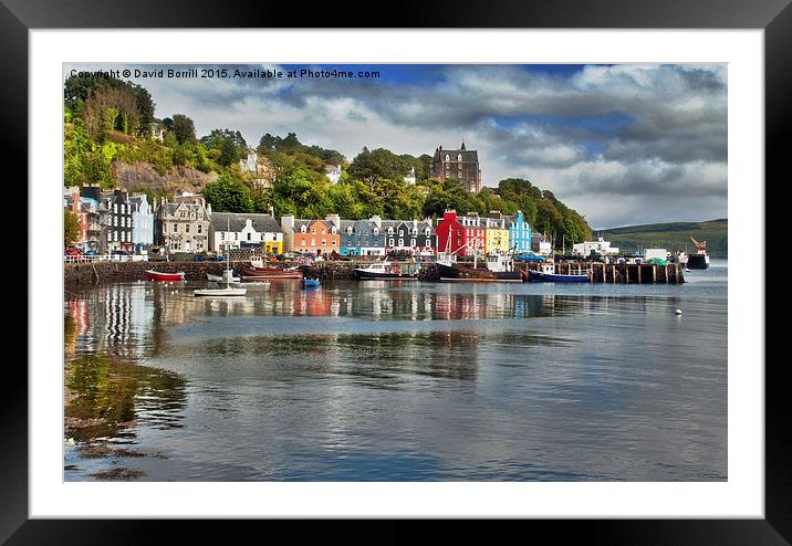  Tobermory Bay and Harbour Framed Mounted Print by David Borrill