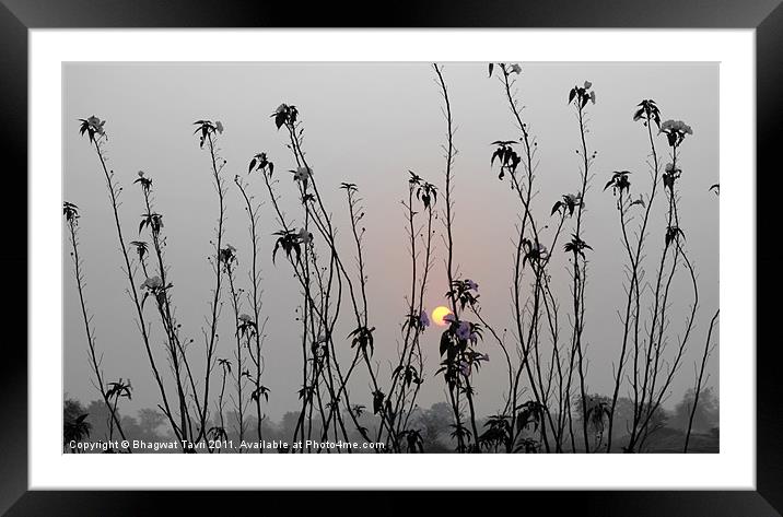 Sun-rise Framed Mounted Print by Bhagwat Tavri