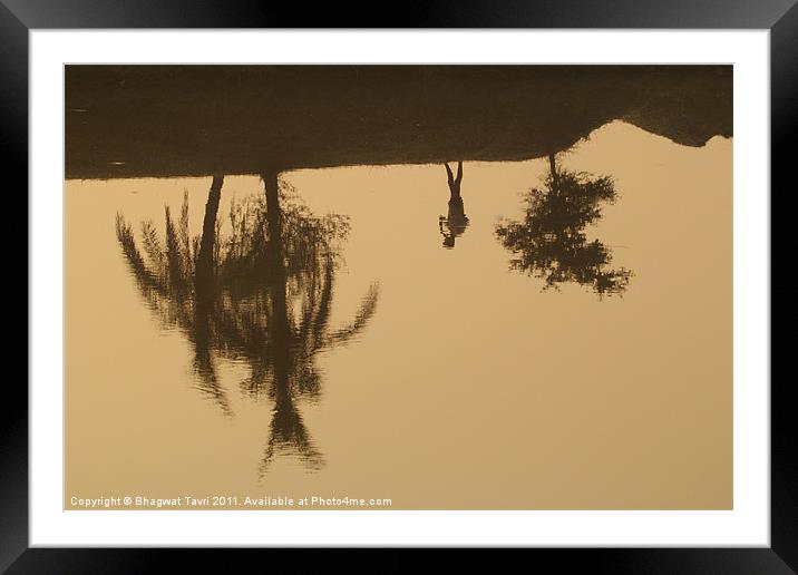 Image on water Framed Mounted Print by Bhagwat Tavri