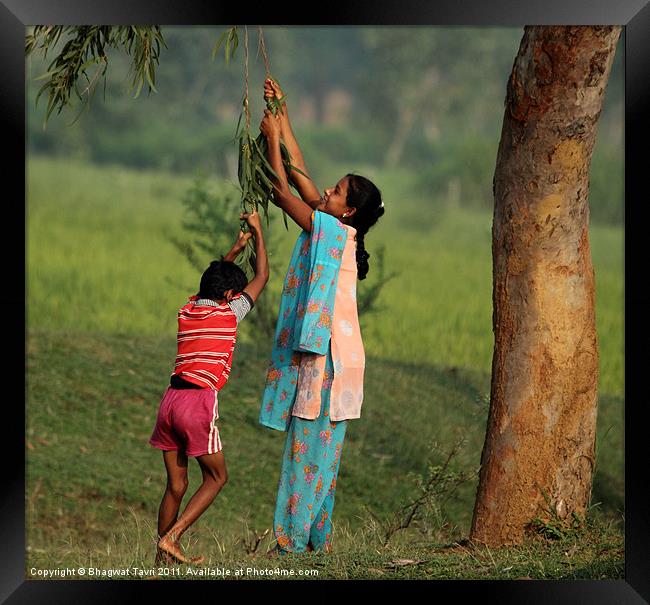 Play Time Framed Print by Bhagwat Tavri