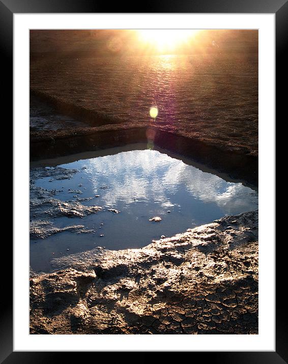 A Day after First Monsoon Shower Framed Mounted Print by T R   Bala subramanyam