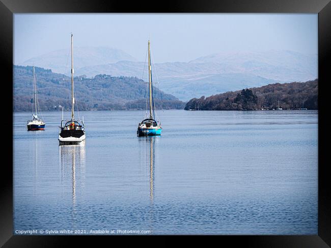 Windermere  Framed Print by Sylvia White