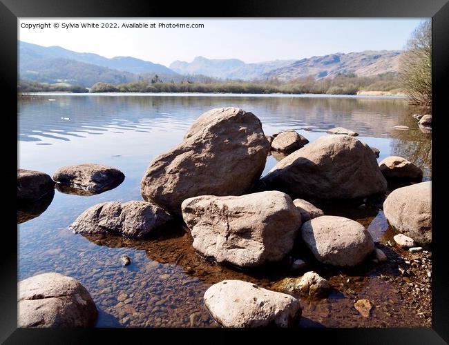 Loughrigg Tarn Framed Print by Sylvia White