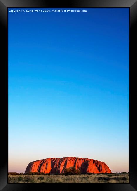 from a distance Framed Print by Sylvia White