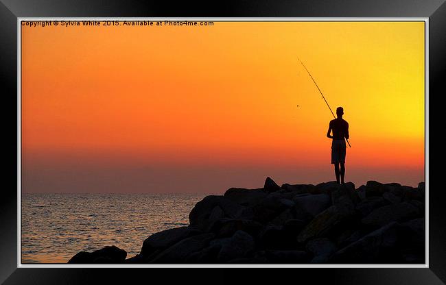  Fishing for Breakfast Framed Print by Sylvia White