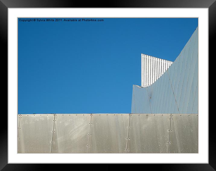 Rooftop Framed Mounted Print by Sylvia White