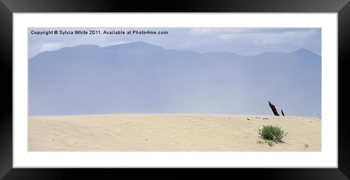Death Valley Framed Mounted Print by Sylvia White