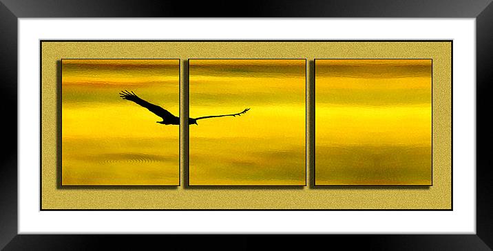 Flight Framed Mounted Print by Steve White