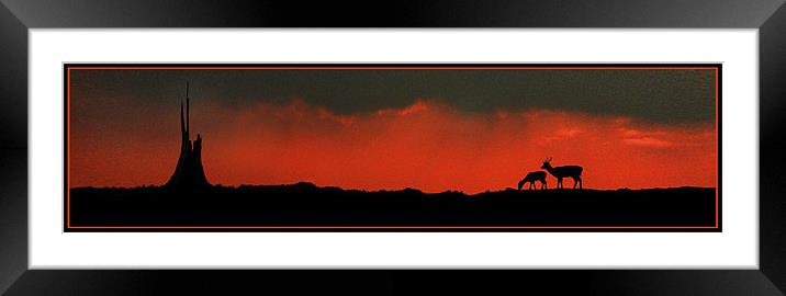 Deer park Framed Mounted Print by Steve White