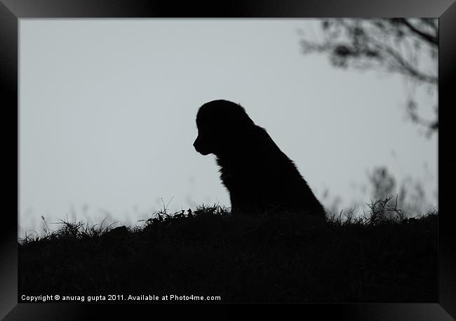 lonesome me Framed Print by anurag gupta